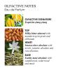 Molton Brown Flora Luminare Eau de Parfum Spray thumbnail