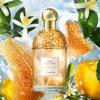 Guerlain Aqua Allegoria Nettare di Sole Eau de Toilette Spray thumbnail