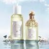 Guerlain Aqua Allegoria Nerolia Vetiver Eau de Toilette Navulling thumbnail