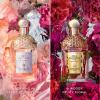 Guerlain Aqua Allegoria - Rosa Rossa Forte Eau de Parfum Spray thumbnail