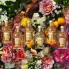Guerlain Aqua Allegoria - Rosa Rossa Forte Eau de Parfum Spray thumbnail