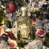 Guerlain Aqua Allegoria Nerolia Vetiver Forte Eau de Parfum Spray thumbnail