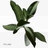 Hermes H24 Deodorant Stick thumbnail