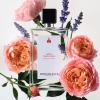 Reminiscence Rose Tentation Patchouli N'Roses Eau de Parfum thumbnail
