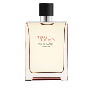 Hermés Terre d'Hermès Intense 175 ml Eau de Parfum Spray