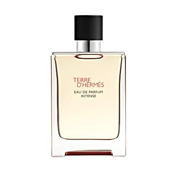 Hermès Terre d'Hermès Intense 100 ml Eau de Parfum Spray