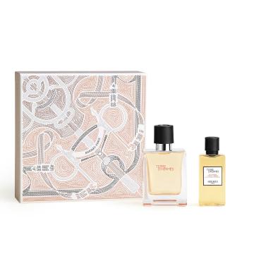 Hermès Terre d'Hermès 50 ml Eau de Toilette Geschenkset (uitlopend)