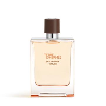 Hermes Terre d'Hermes Eau Intense Vetiver Eau de Parfum 100 ml OP=OP