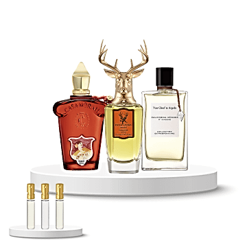 Discovery Set All Gender (Pana Dora Forever Love, Casamorati Bouquet Ideale, Van Cleef & Arpels California Rêverie)