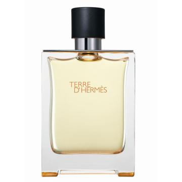 Hermes Terre d'Hermes 100 ml Eau de Toilette Spray