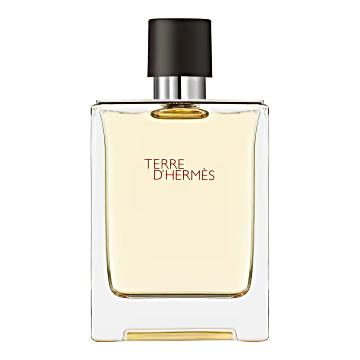 Hermes Terre d'Hermes 100 ml Eau de Toilette Spray