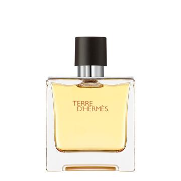 Hermes Terre d'Hermes Parfum Spray