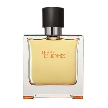 Hermes Terre d'Hermes 200 ml Parfum Spray