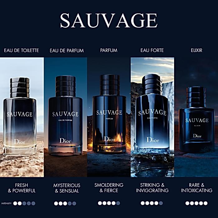 Sauvage 100 ml eau de toilette van DIOR | Parfumerie.nl