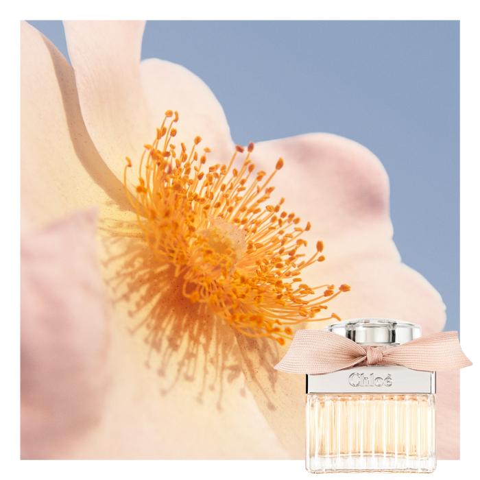 Chloe 75 ml Eau de Parfum Spray
