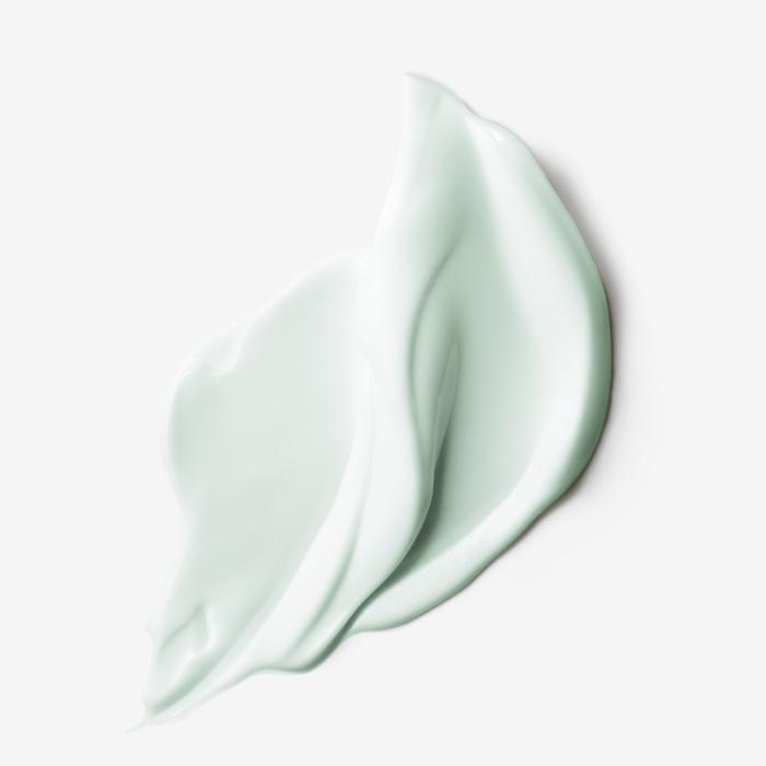 Estee Lauder NightWear Plus Anti-Oxidant Night Detox Creme
