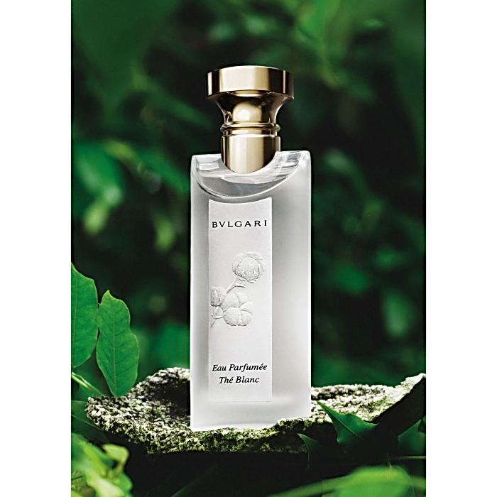 BVLGARI Eau Parfumée au Thé Blanc 50ml Bvlgari Eau Parfumeé Thé Blanc Kopen | Parfumerie.be