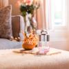 Molton Brown Delicious Rhubarb & Rose Eau de Toilette Spray thumbnail