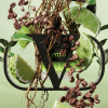  Valentino Born in Roma Uomo Green Stravaganza Eau de Toilette thumbnail