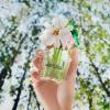 Marc Jacobs Daisy Wild Eau de Parfum thumbnail