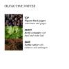 Molton Brown Re-Charge Black Pepper Kaars thumbnail