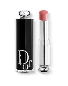 Dior Addict Lipstick 329 Tie & Dior