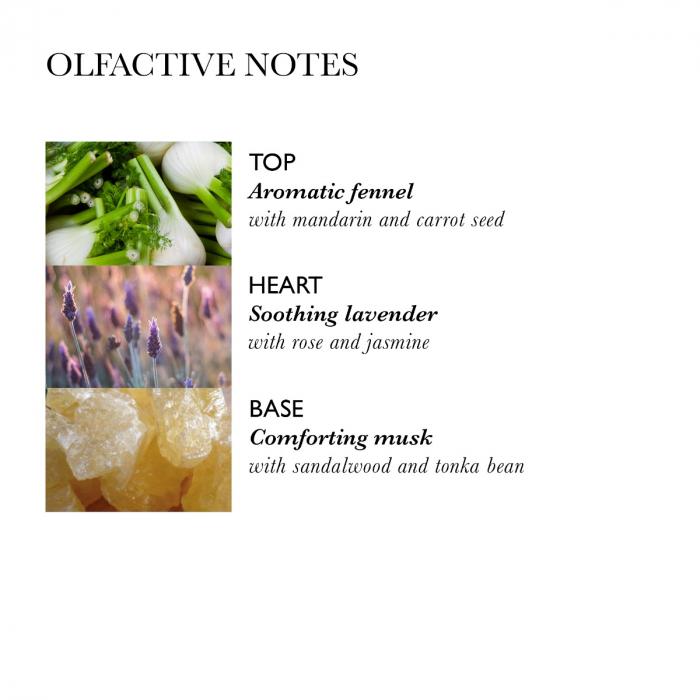 Molton Brown Repairing Conditioner with Fennel