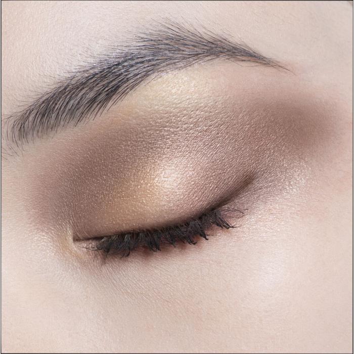 DIOR Diorshow 5 Couleurs Oogschaduwpalette