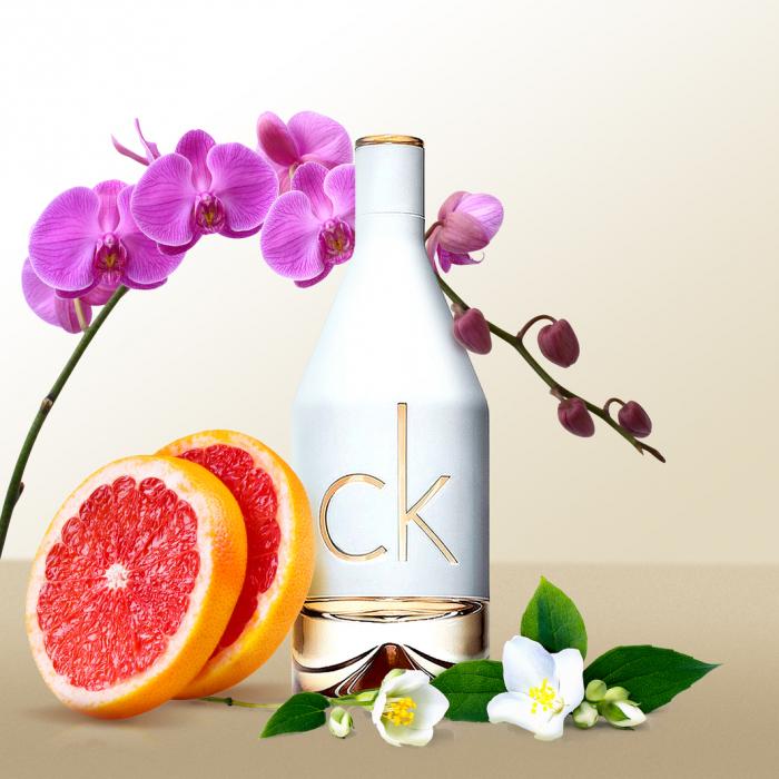Calvin klein discount 2 perfume