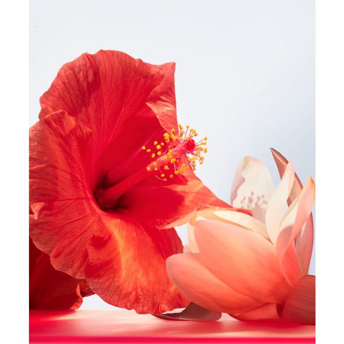 Bvlgari Omnia Coral Eau de Toilette