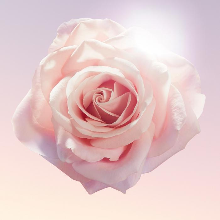 Lancôme Idôle Eau de Parfum Spray