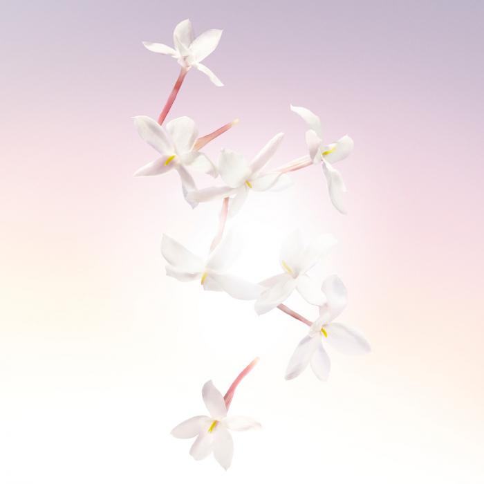 Lancôme Idôle Eau de Parfum Spray