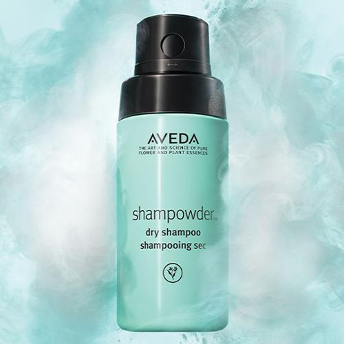 shampowder