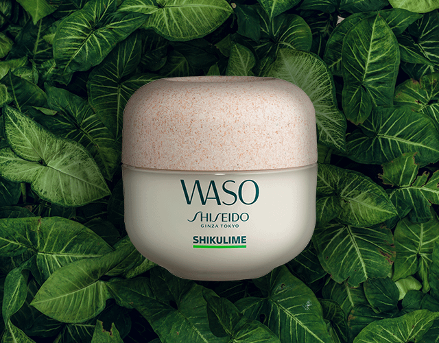 Vegan beauty